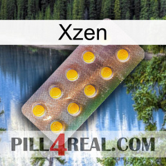 Xzen new11